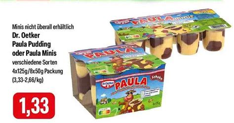 Paula Pudding Minis Verpackung und Produktansicht