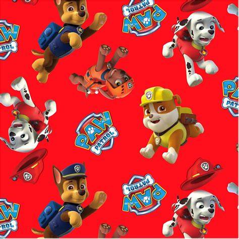 Paw Patrol Design: Kinderfreundliche Verpackung