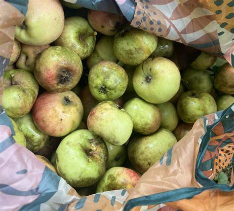 Pektin-Quellen: Zitrusfrüchte, Äpfel, Quitten