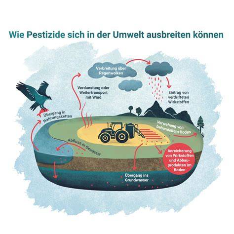 Pestizideinsatz auf Kakaoplantagen - Infografik