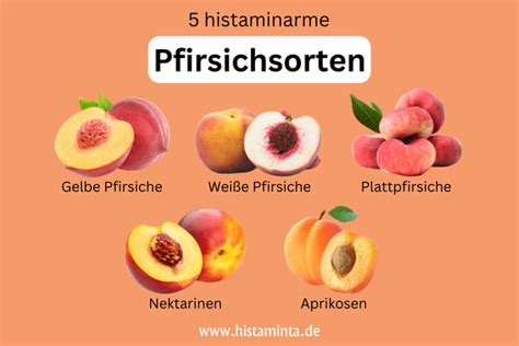 Pfirsichsorten für Marmelade: Weinberg- und Plattpfirsiche