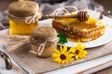 Pflanzen und Trachtquellen für Frühjahrshonig und Sommerhonig