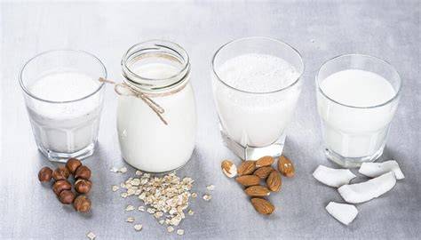 Pflanzliche Alternativen als Basis für Schokolade: Haferdrink, Mandelmus, Kokosmilch (Grafik)