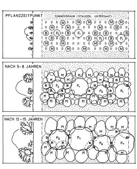 Pflanzschema einer Trüffelplantage, Abstand und Mulchzonen