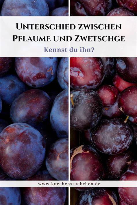 Pflaumen, Zwetschgen und Sorbet-Schritte als Infografik