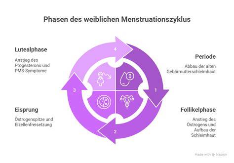 Phasen des Zuckerentzugs und typische Symptome