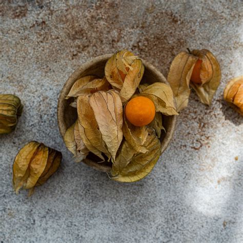 Physalis als essbare Dekoration auf Dessert