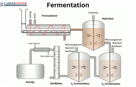 Plantage und Fermentation