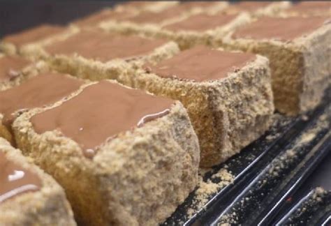 Plazma Kuchen Präsentation und Dekoration