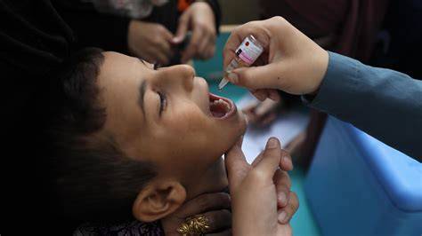 Polio-Impfung auf Zuckerwürfel