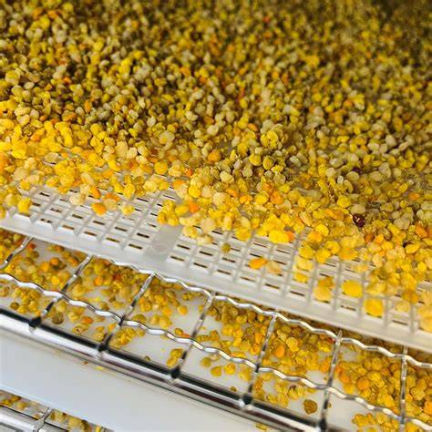 Pollen und Perga: vom Sammeln bis zur Fermentation