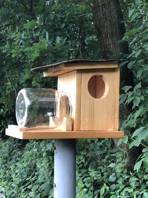 Praktische Hilfe: Futterhäuschen für Vögel und Eichhörnchen im verschneiten Garten