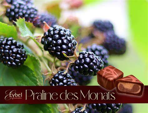 Praline des Monats und saisonale Figuren
