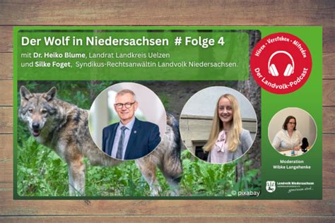 Praxis: Konsistenzkontrolle, Deckelhandling und Entnahme des fertigen Eises