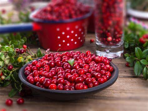 Preiselbeeren frisch aus dem Wald