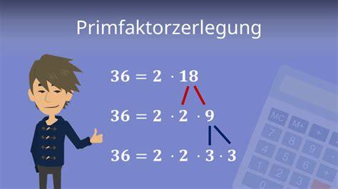 Primfaktorzerlegung und Stückteilung (infografisch)