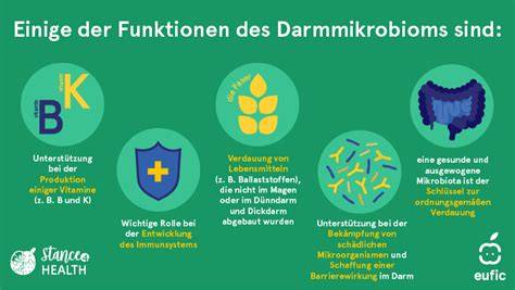 Probiotische Unterstützung des Darmmikrobioms