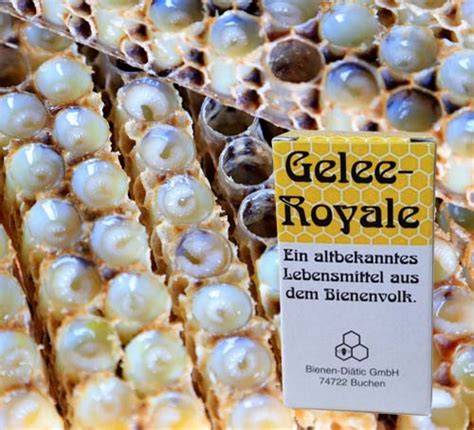Produkte aus dem Bienenvolk - Wachs, Seifen, Propolis und Gelee Royal