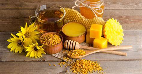 Produkte aus der Imkerei: Wachs, Propolis, Pollen, Honig