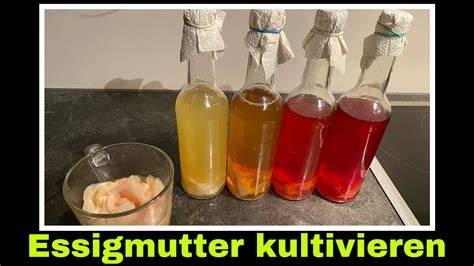 Produktwahl: naturtrüber Bio-Apfelessig mit Essigmutter und Honig