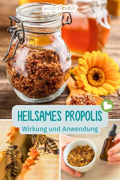 Propolis: Anwendungsmöglichkeiten und Bienenstock-Schutz