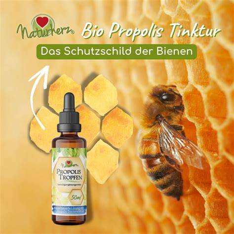 Propolis Tropfen und regionale Bienenprodukte als Illustration