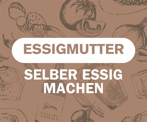 Prozess der Essiggärung mit Essigmutter und Sauerstoffzufuhr