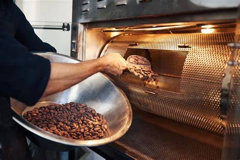 Prozesskette: Ernte, Fermentation, Trocknung, Röstung bis zur Schokolade