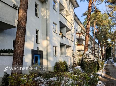 Psychedelische, bunte Tom-Welt mit krummen Horizonten und den Charakteren rund um Tom