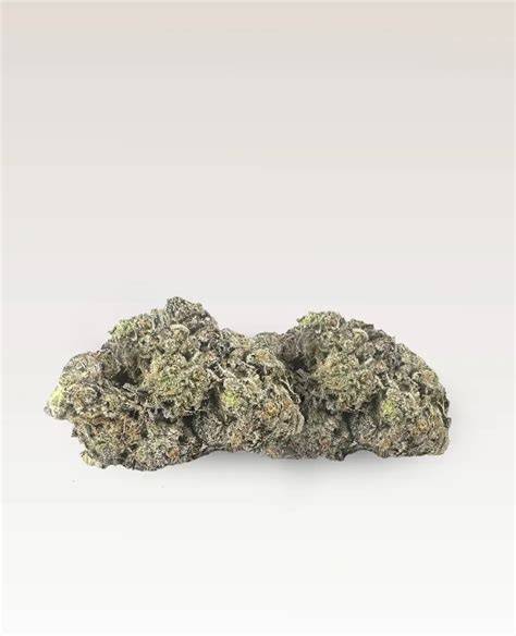 Purple Gelato Terpenprofil