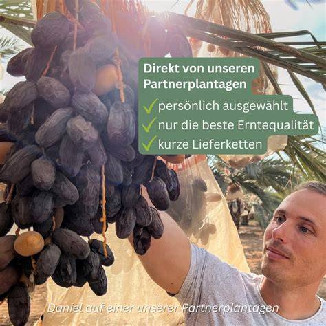 Qualitätskette: Partnerplantagen, Kakaothek, Grand-Cru-Auswahl