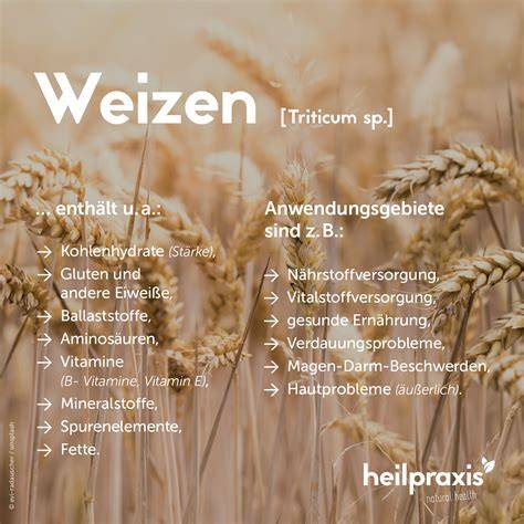 Qualitätsmerkmale: Herkunft, Sortenreinheit, Imkerwissen