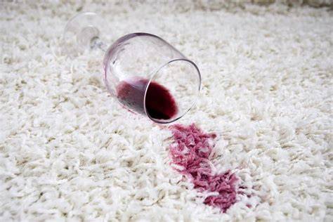 Querschnitt: Fleckentfernung auf verschiedenen Materialien (Kleidung, Teppich, Sofa)