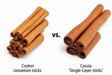Querschnitt: Zimtstange, Ceylon vs. Cassia, Herkunftsgebiete