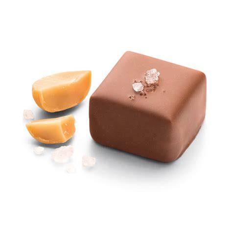Querschnittgrafik einer Praline: Zuckerkruste, Schokoladenmantel, Cremefüllung/Nougat, Likörkern