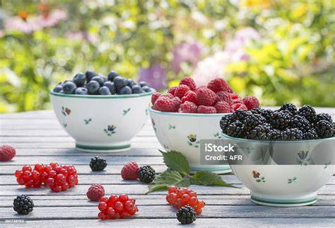 Quitten und Heidelbeeren nebeneinander
