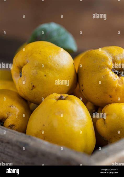 Quitten und Johannisbeeren auf Holzbrett: Zutatenfoto