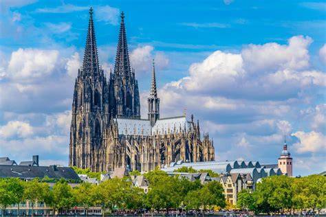 Rübenfeld in der Nähe von Köln