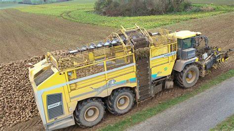 Rübenvollernter bei der Ernte