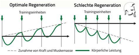 Regeneration und Muskelkater: Honig nach dem Training