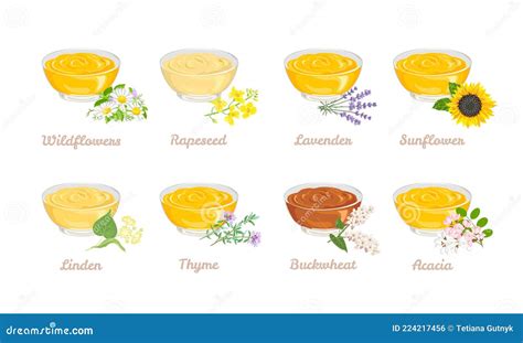 Regionale Blütenvielfalt und Honigsorten (Illustration)