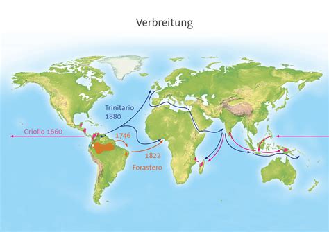 Rekonstruktion: Maya-Feldbau und Transportwege für Kakao