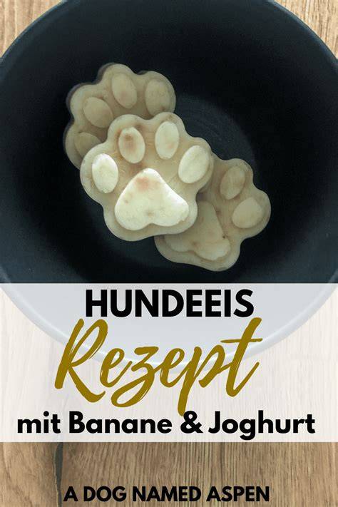 Rezept-Zutaten für Hundeeis: Joghurt, Banane, Honig, Karotte, Fleisch, Kong-Spielzeug