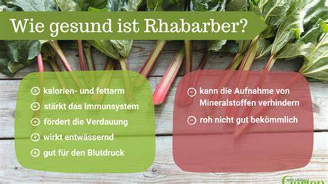 Rhabarber Sortenkunde und gesundheitliche Vorteile