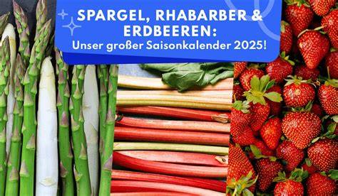 Rhabarberstangen, Saisonkalender, Rhabarber und Erdbeeren, glutenfreies Backen