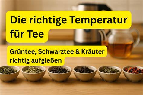 Richtige Temperatur für Zitronen-Honig-Tee