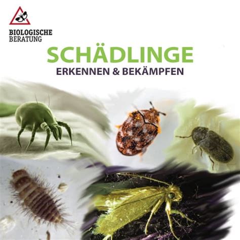 Richtige Vorratslagerung und Bekämpfung von Schädlingen