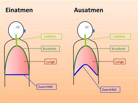 Riechtechnik: Ein- und Ausatmen bei der Verkostung