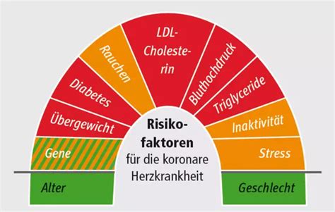 Risikofaktoren: Herzkrankheiten, Fellfarbe und Größe
