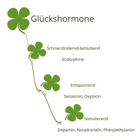 Rohkakao-Nährstofftabelle und Glückshormone aus Kakao